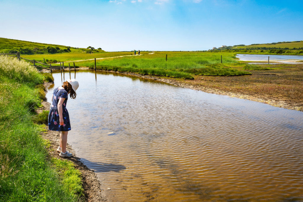 Cuckmere River © French Moments