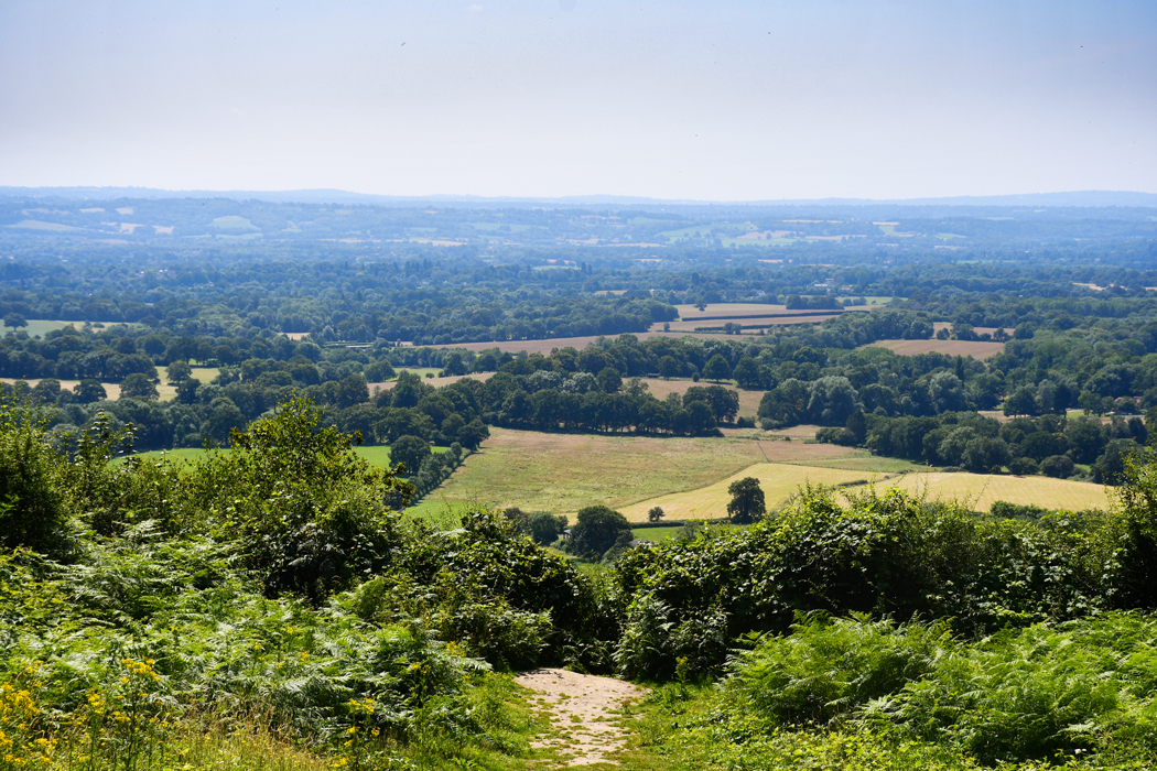 One Tree Hill, North Downs du Kent © French Moments