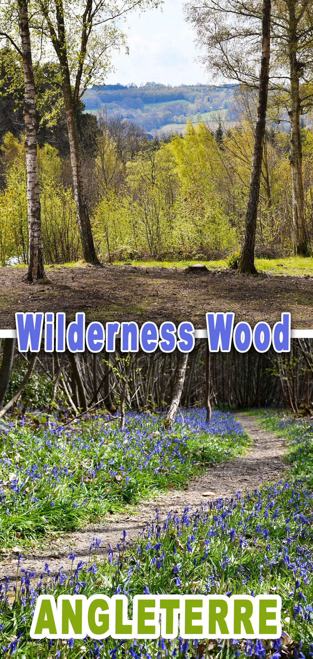Wilderness Wood Pinterest copyright French Moments