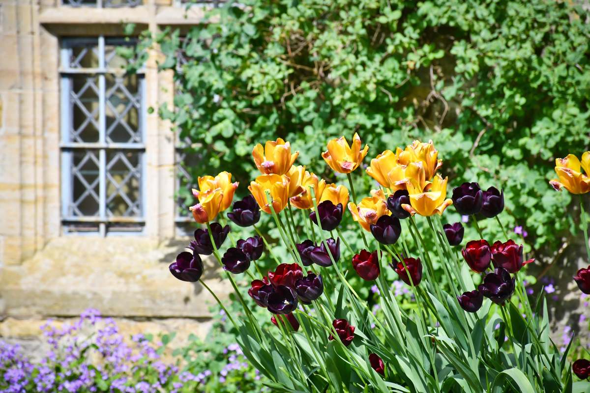 Nymans Gardens © French Moments