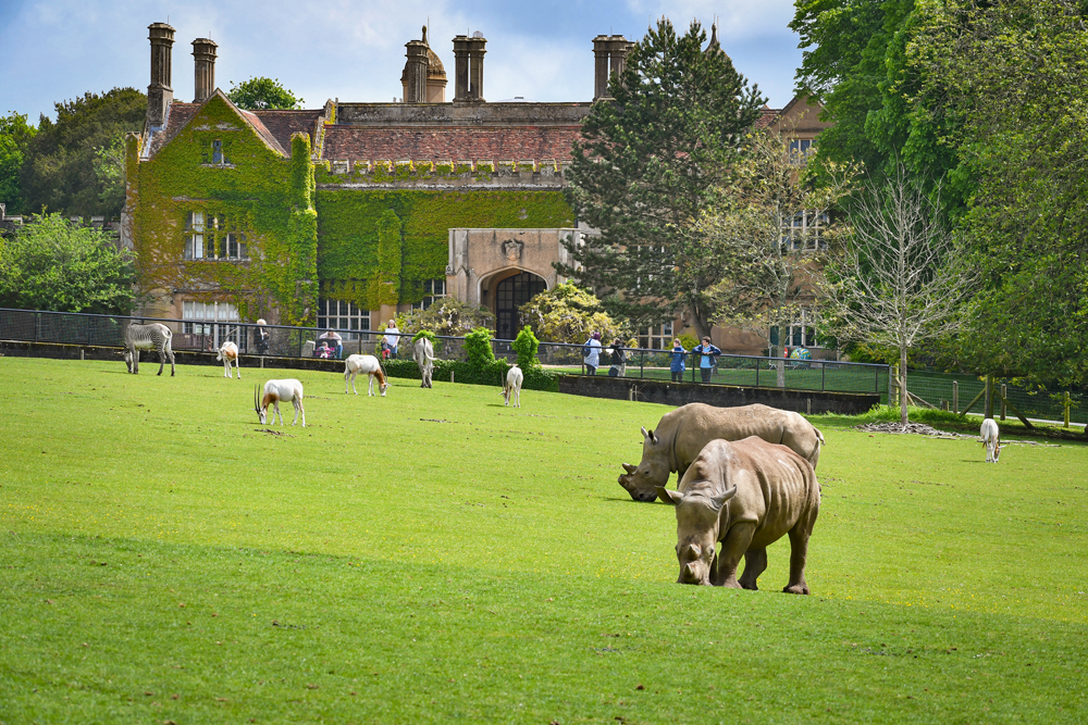 Marwell Zoo © French Moments