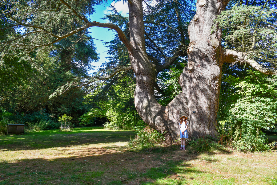 Bessborough Arboretum © French Moments