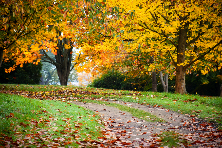 Petworth en automne © French Moments