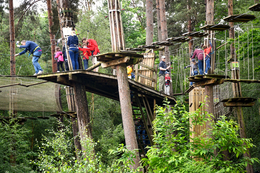 Go Ape Tree Top Adventure © French Moments