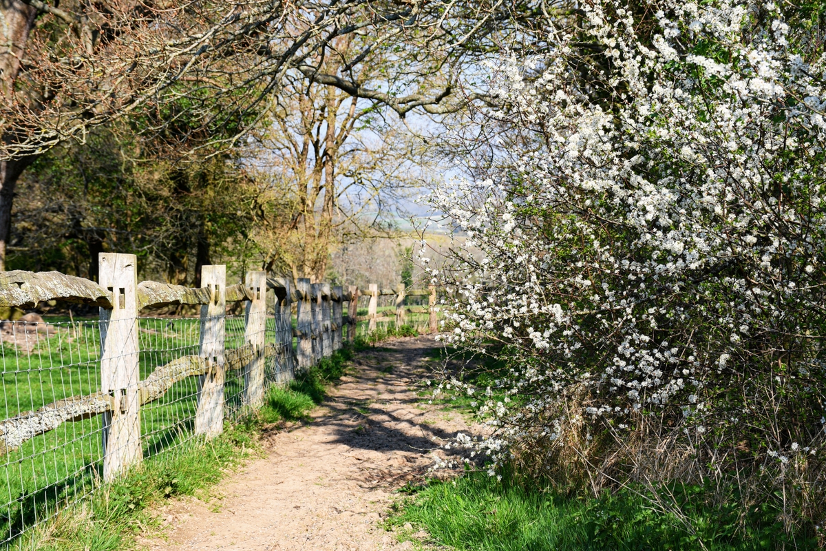 Le printemps en Angleterre (Burwash, East Sussex) © French Moments