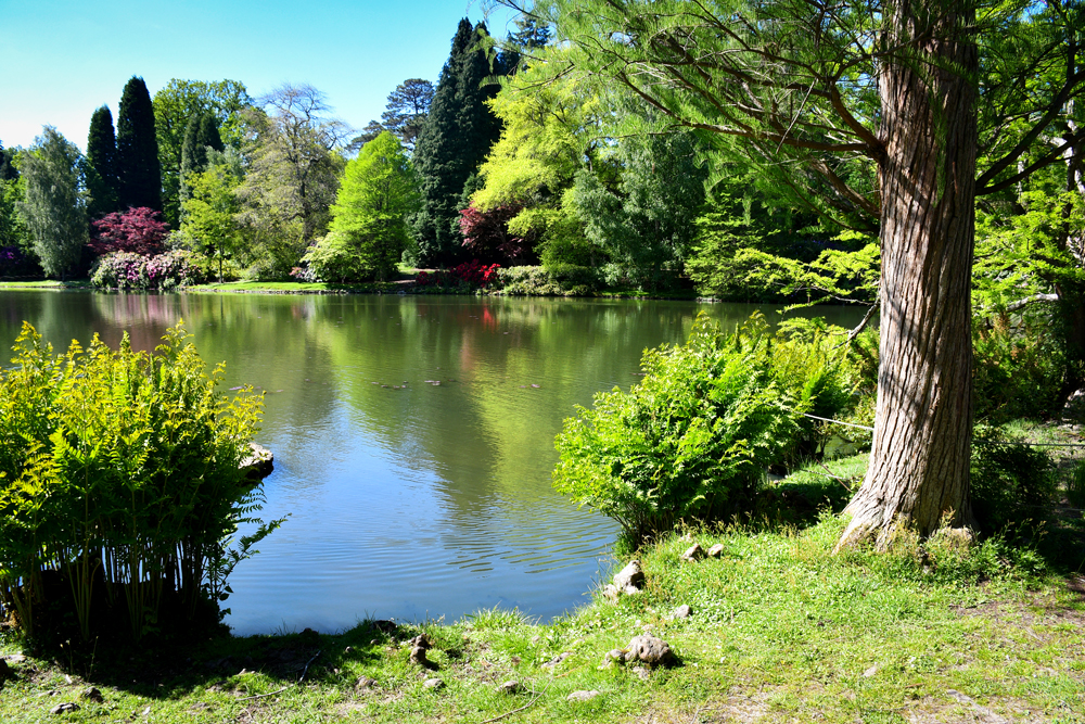 Sheffield Park © French Moments