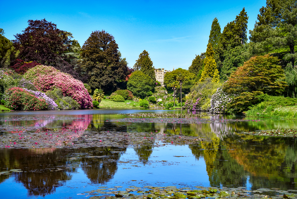 Sheffield Park © French Moments
