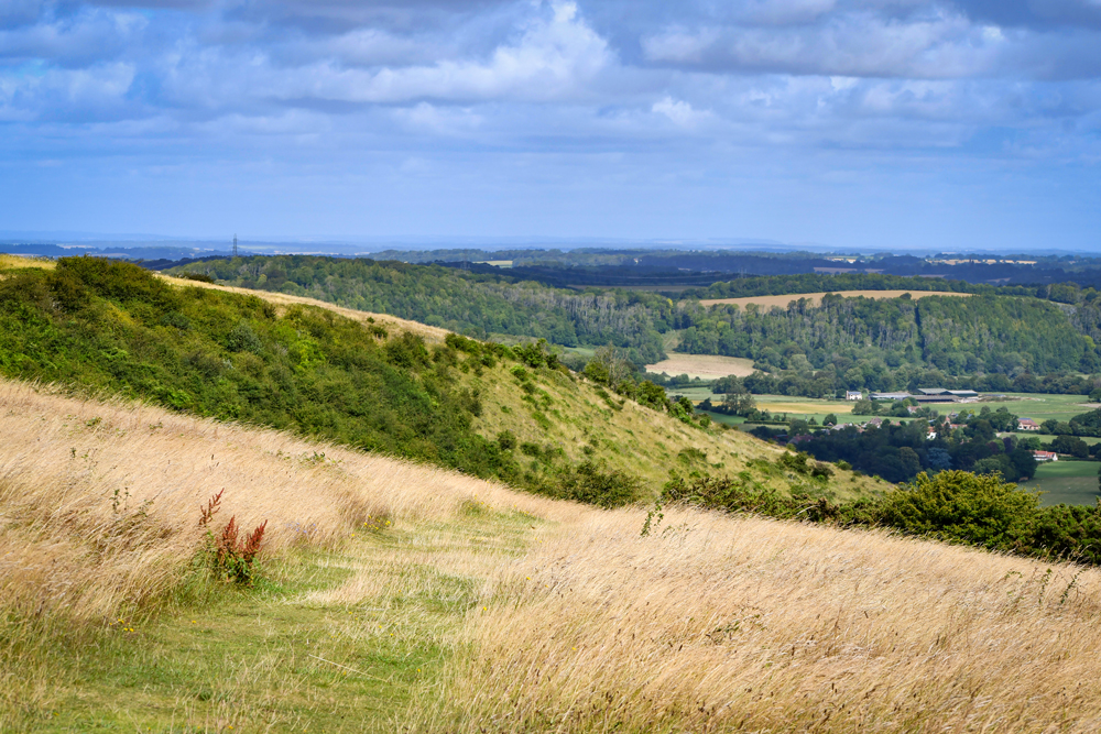 Butser Hill © French Moments