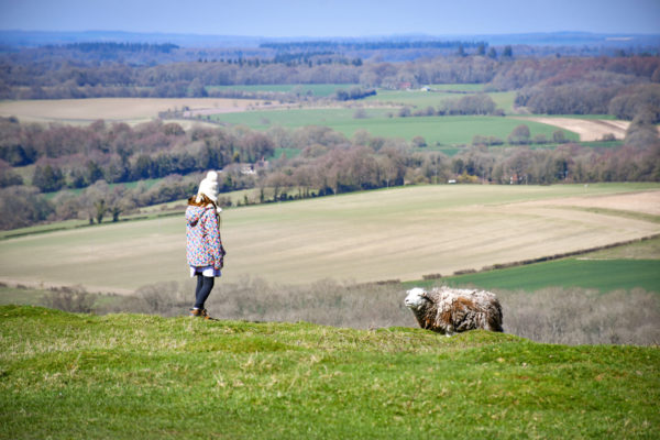 French Rever 25 trésors cachés au sud de Londres qui vous feront rêver de voyage ...