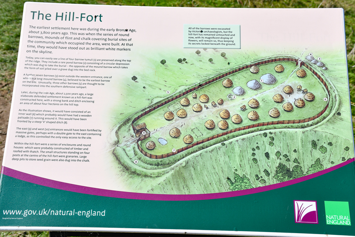 Map of Old Winchester Hill