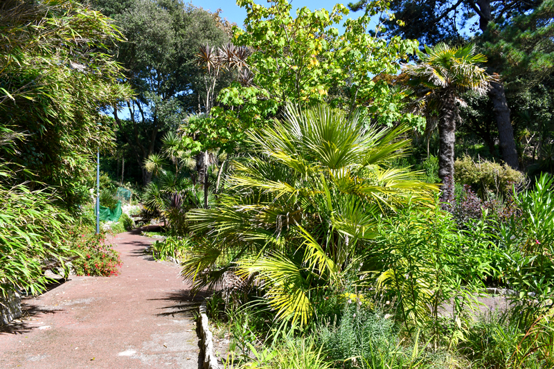 Alum Chine Tropical Gardens © French Moments