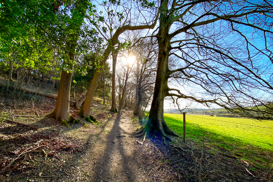 Finchdean-04-copyright-French-Moments Finchdean (Hampshire) © French Moments