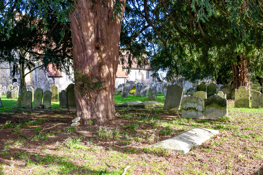 If du cimetière de l'église de Warblington (Hampshire) © French Moments