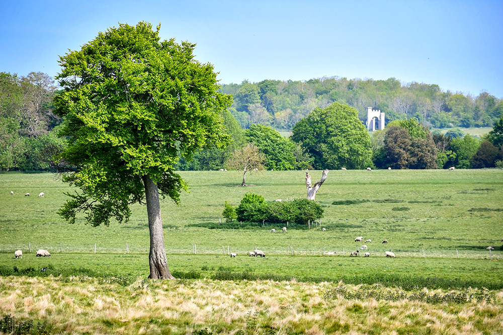 Slindon Estate © French Moments