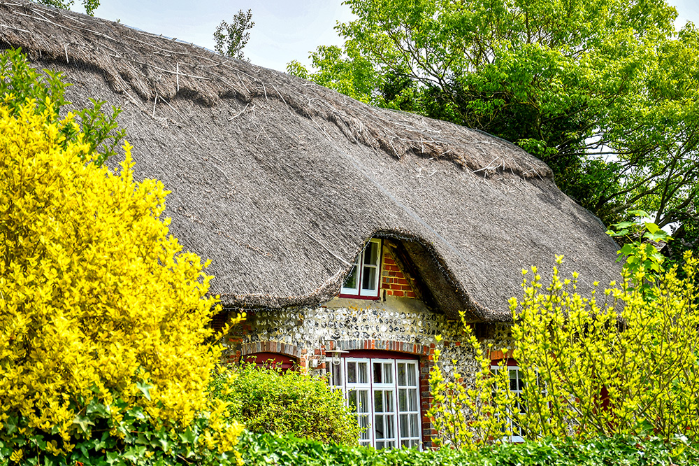 Slindon, West Sussex © French Moments