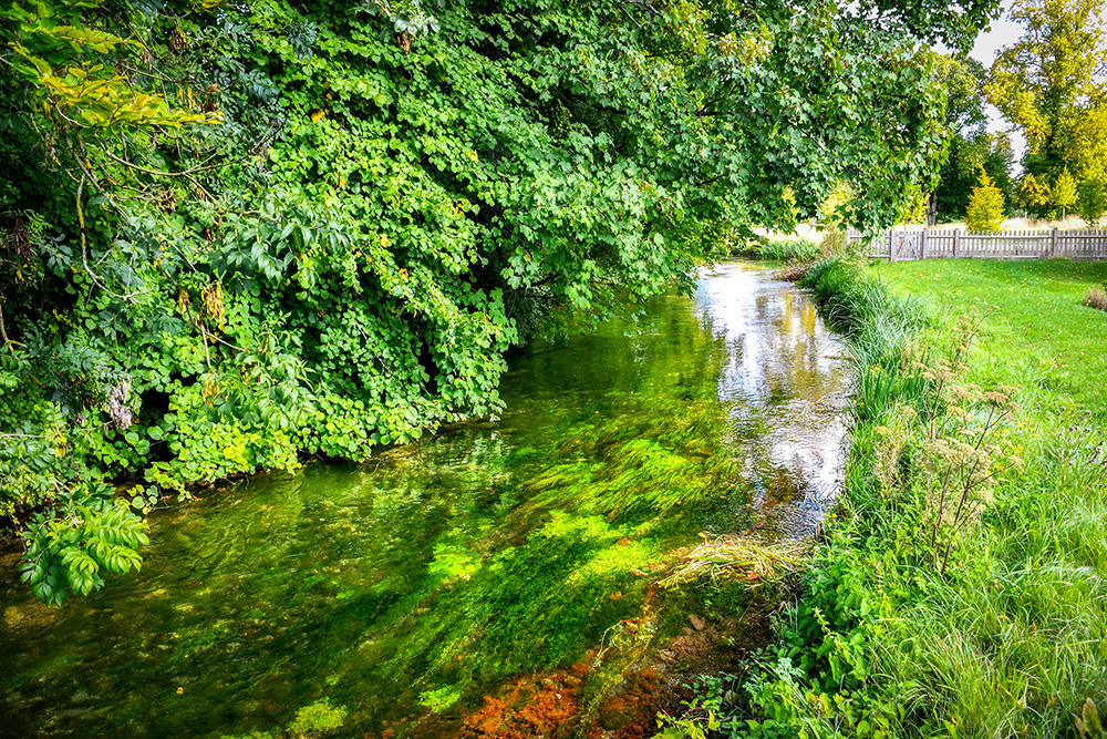 Wherwell 25 copyright French Moments River Test, Hampshire © French Moments